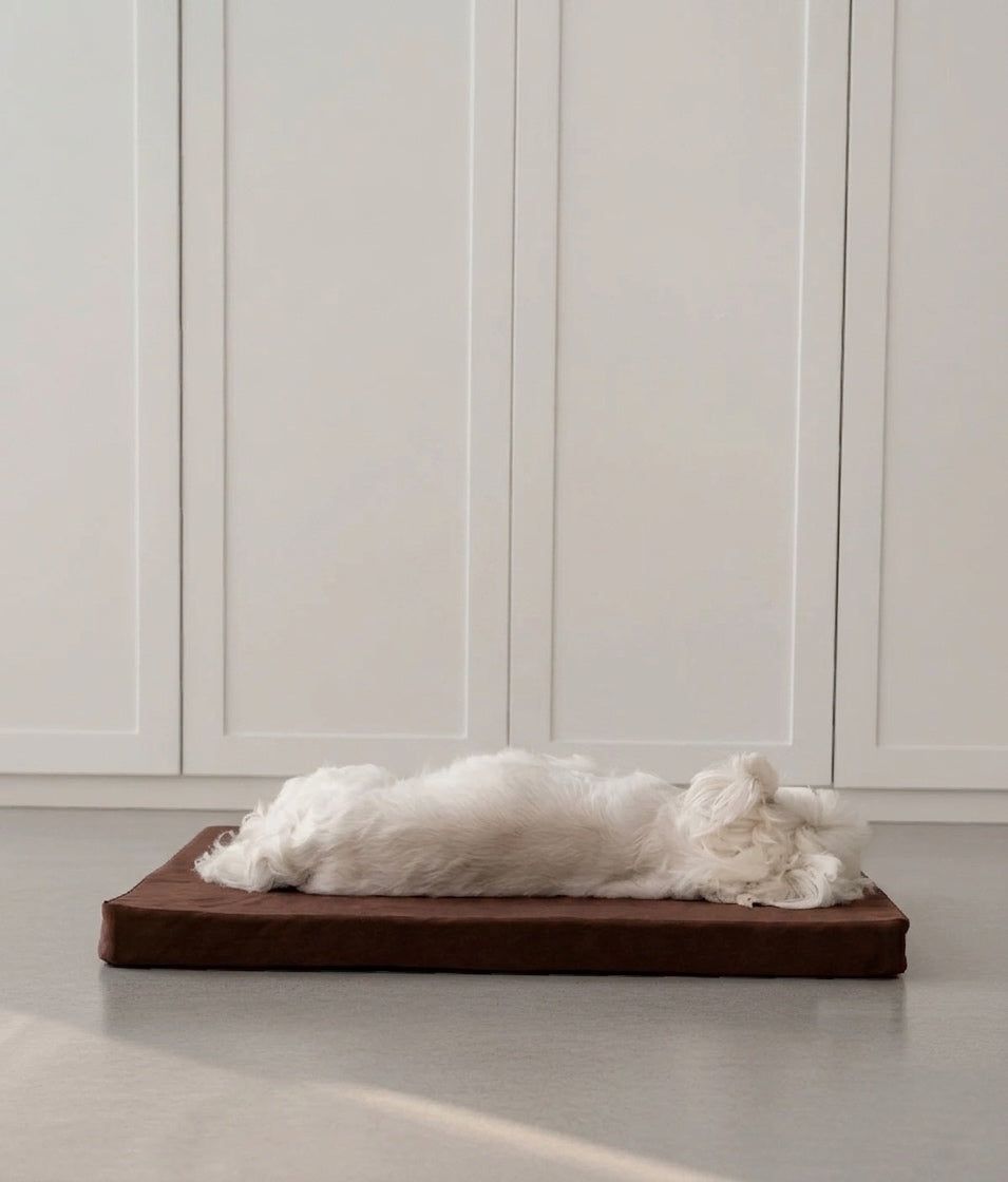 Dog lying on a brown mat with white fur against a white paneled wall.