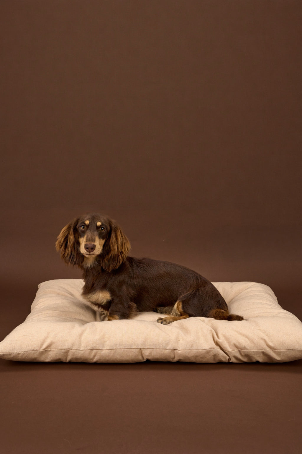 Beige Cotton Linen Dog Cushion Bed - Nido