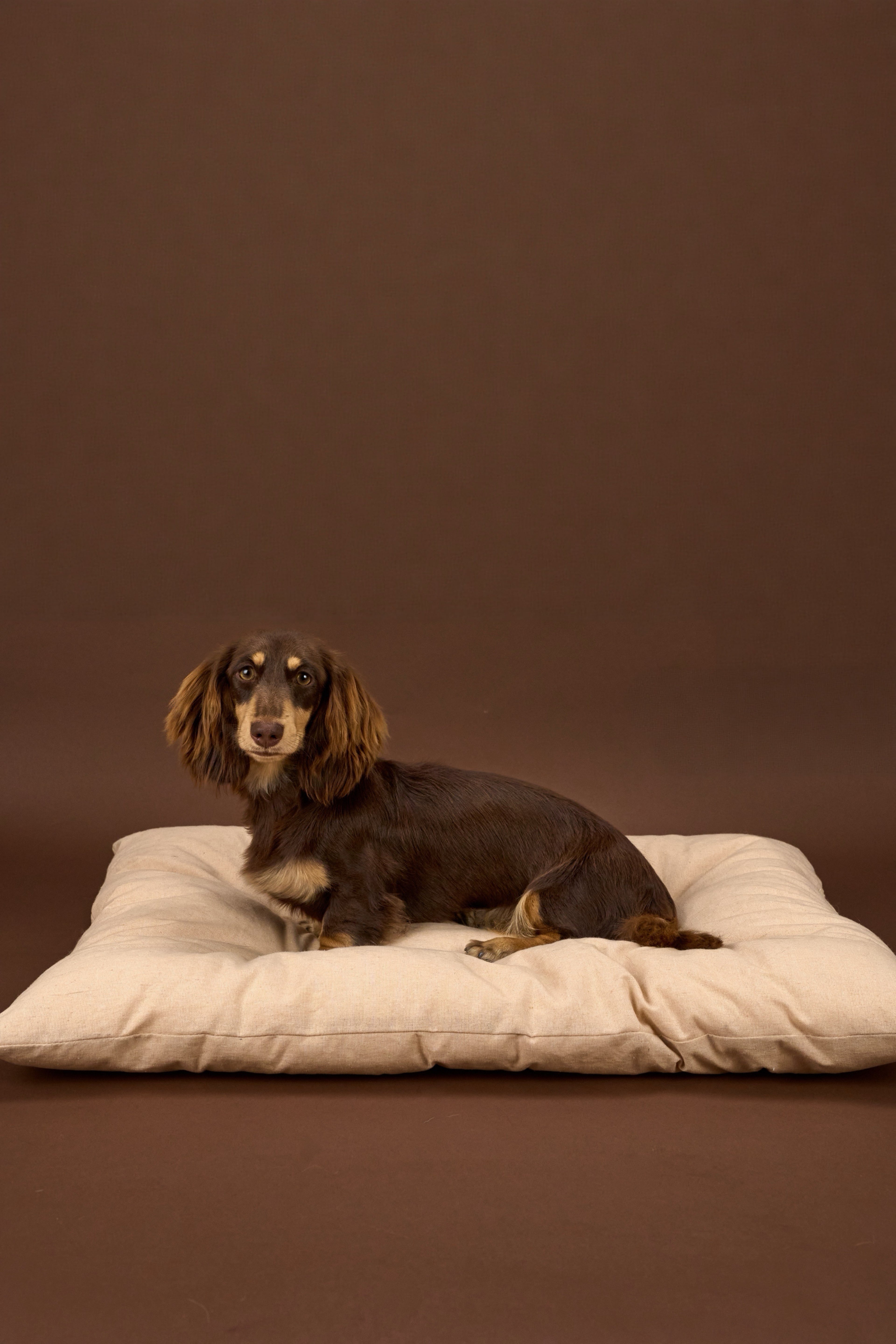 Beige Cotton Linen Dog Cushion Bed - Nido