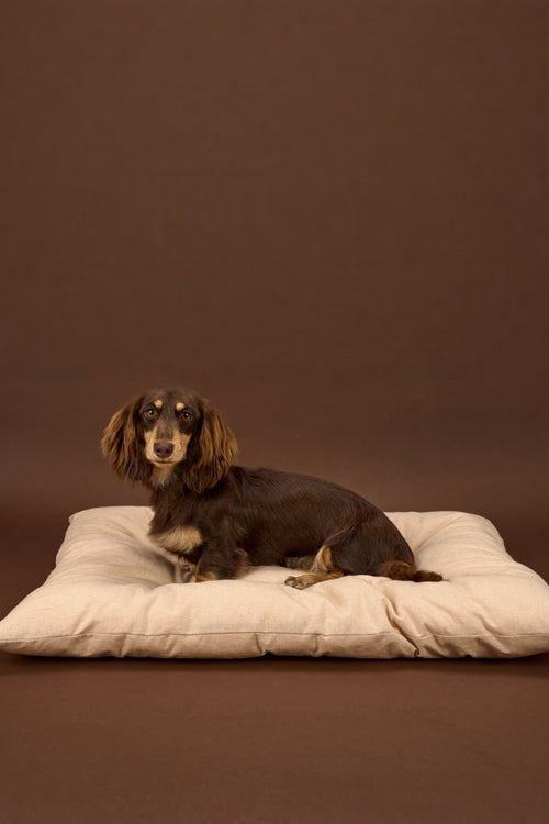 Beige Cotton Linen Dog Cushion Bed - Nido