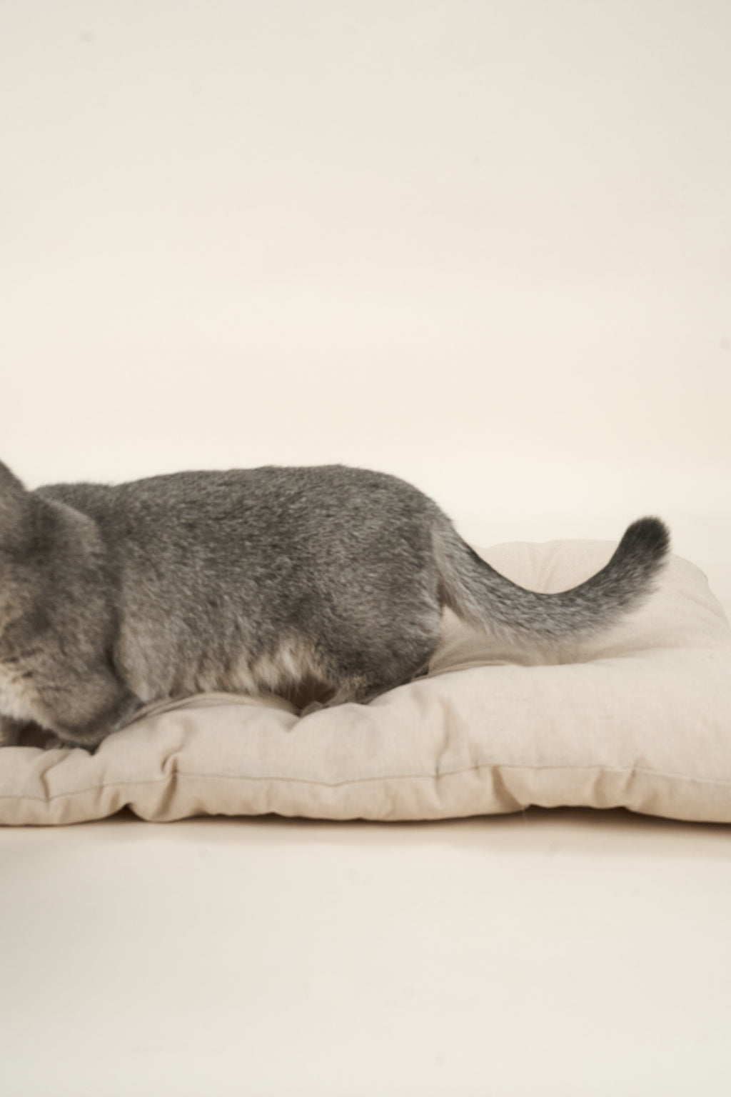 Beige Cotton Linen Dog Cushion Bed - Nido