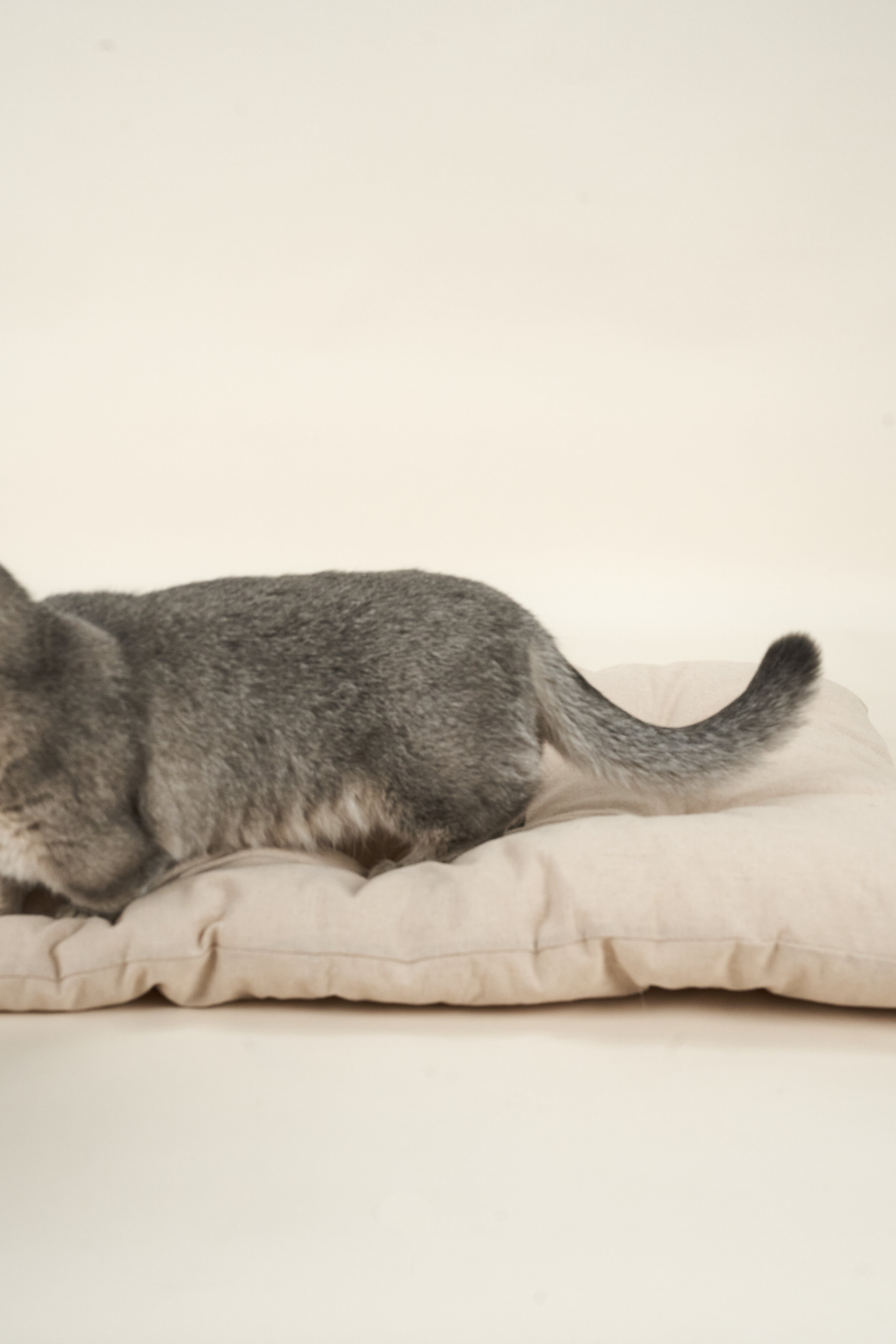 Beige Cotton Linen Dog Cushion Bed - Nido