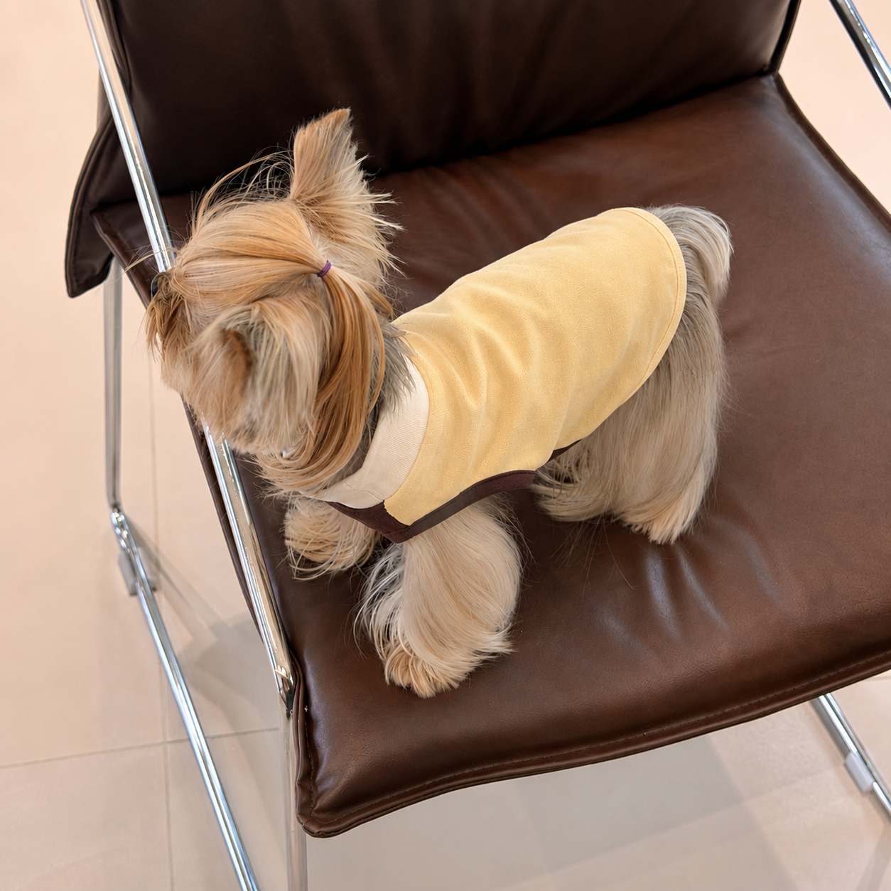 Siesta Sleeveless Shirt in Yellow, lifestyle view