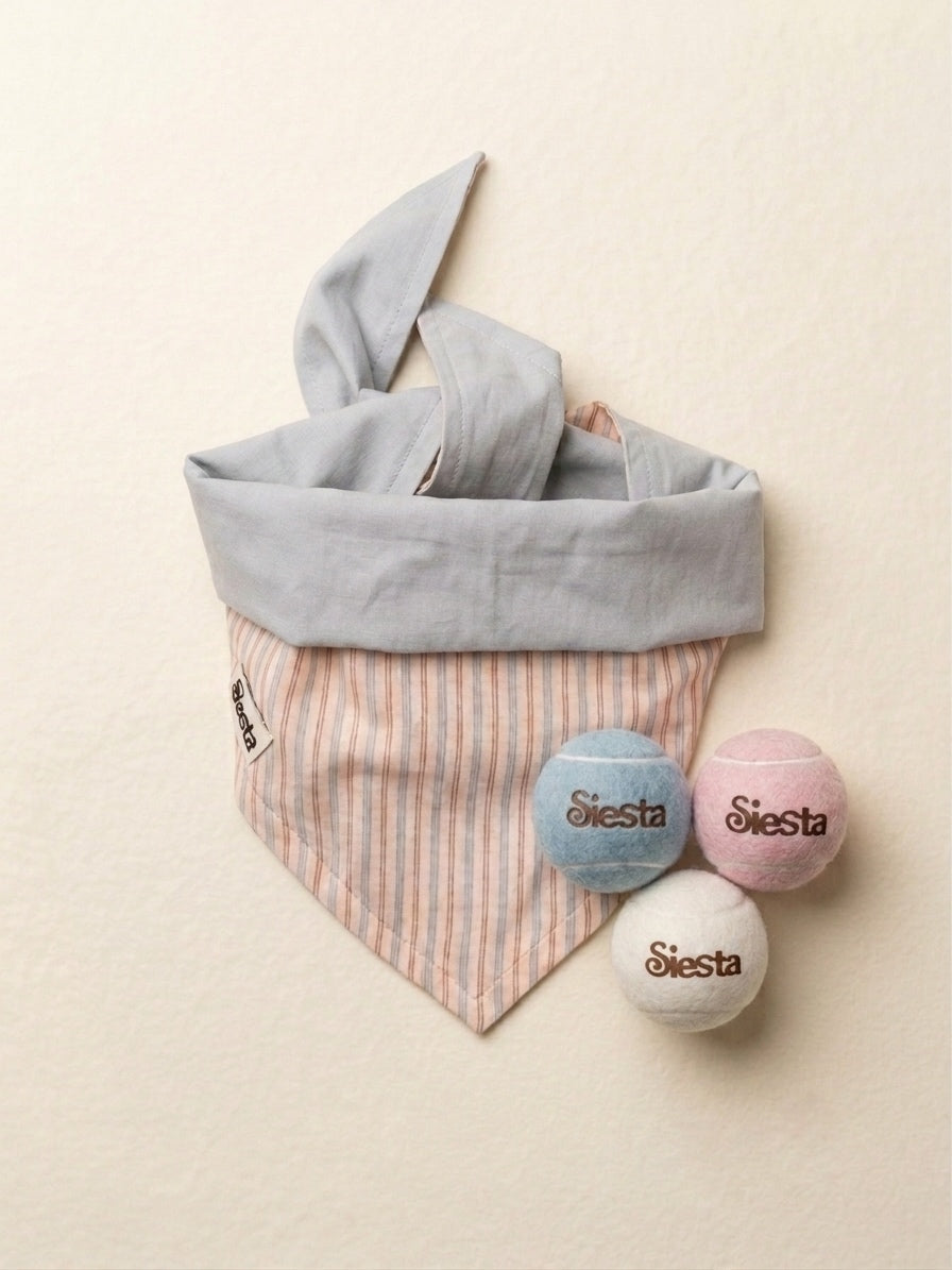 Playtime & Walk Kit