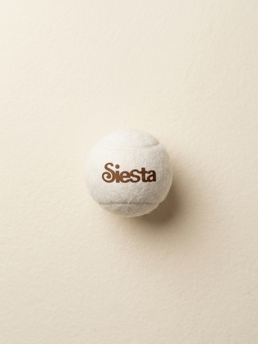 Dog Toy - Tennis Ball Set