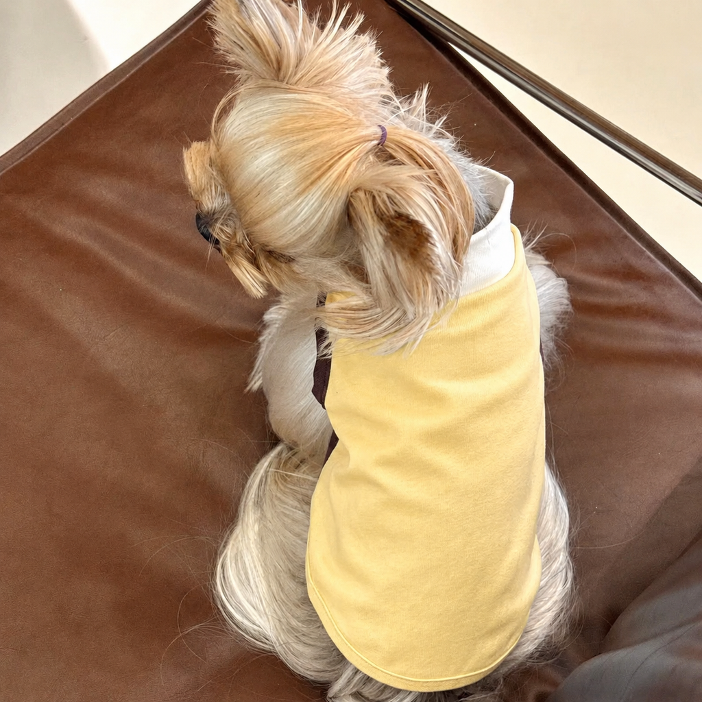 Siesta Sleeveless Shirt in Yellow, back view